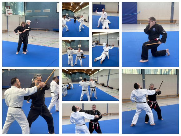 Kata IV Lehrgang mit Frank Reichelt